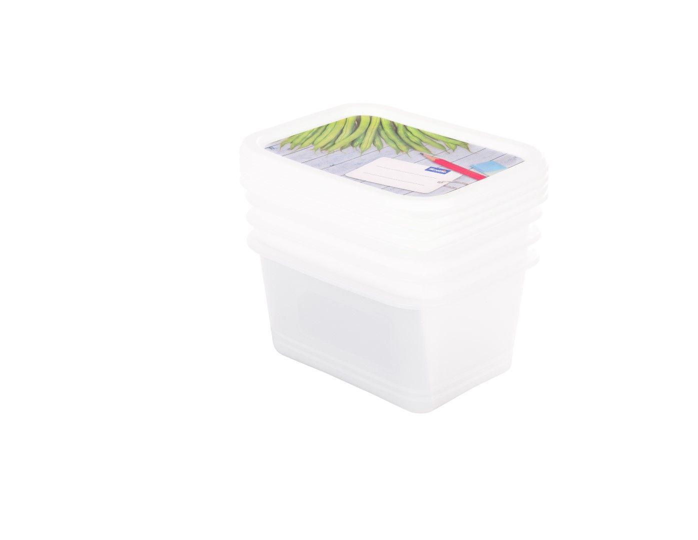 Rotho Set Gefrierdosen 4 x 0.75 l DOMINO