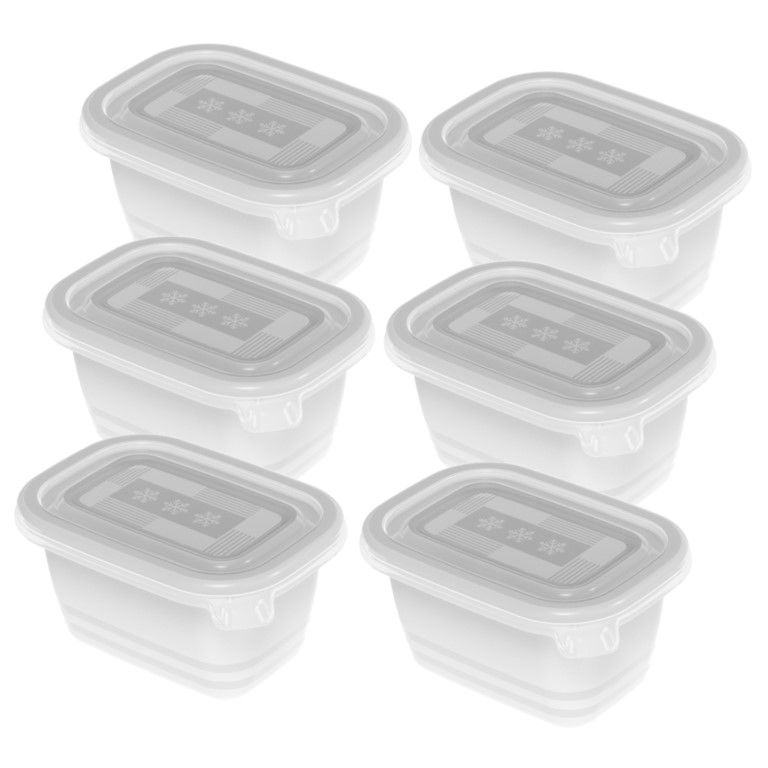 Rotho Set Gefrierdosen 6 x 0.25 l FREEZE