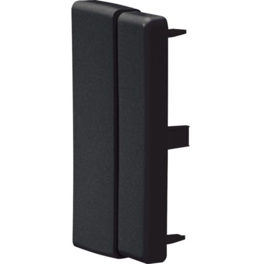 Hager ENDSTÜCK LF (40,60)X110MM SW / HAGER LFF6011069011