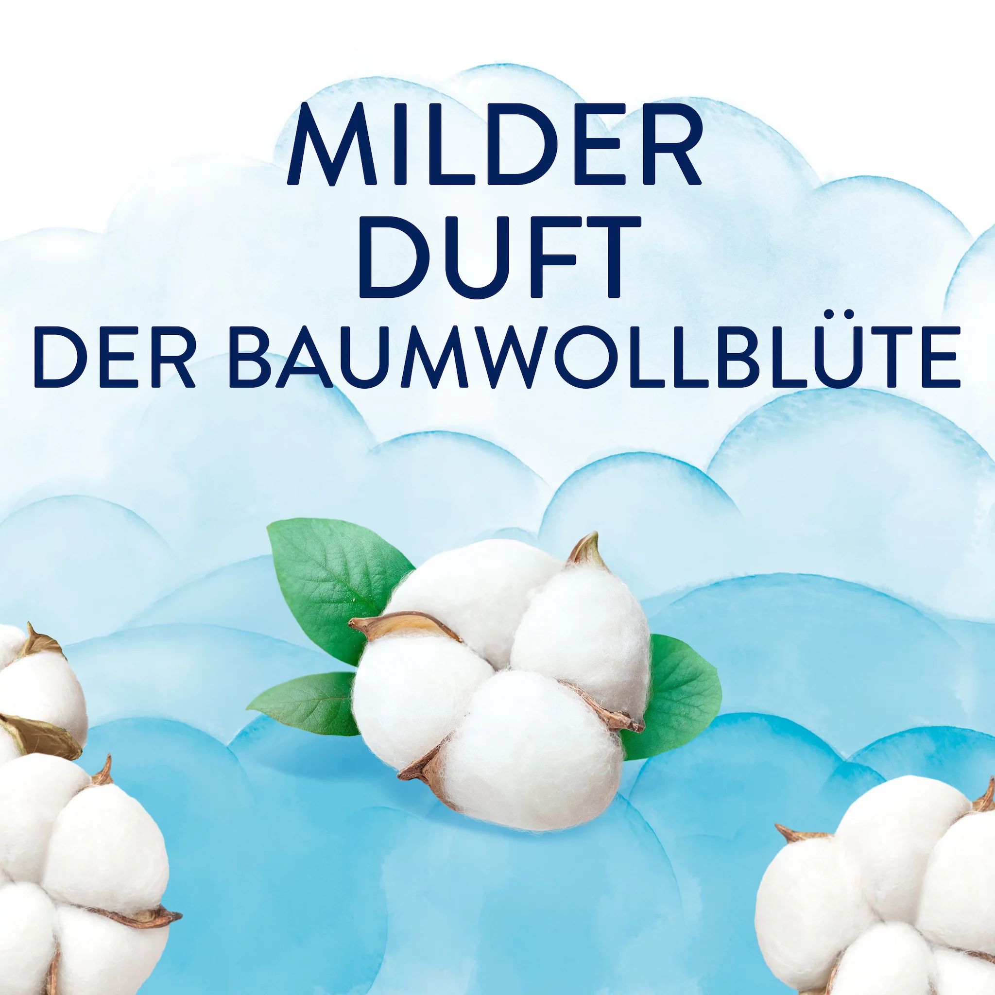 Lenor Light Wäscheparfüm, Frische Baumwollblüte, 155g
