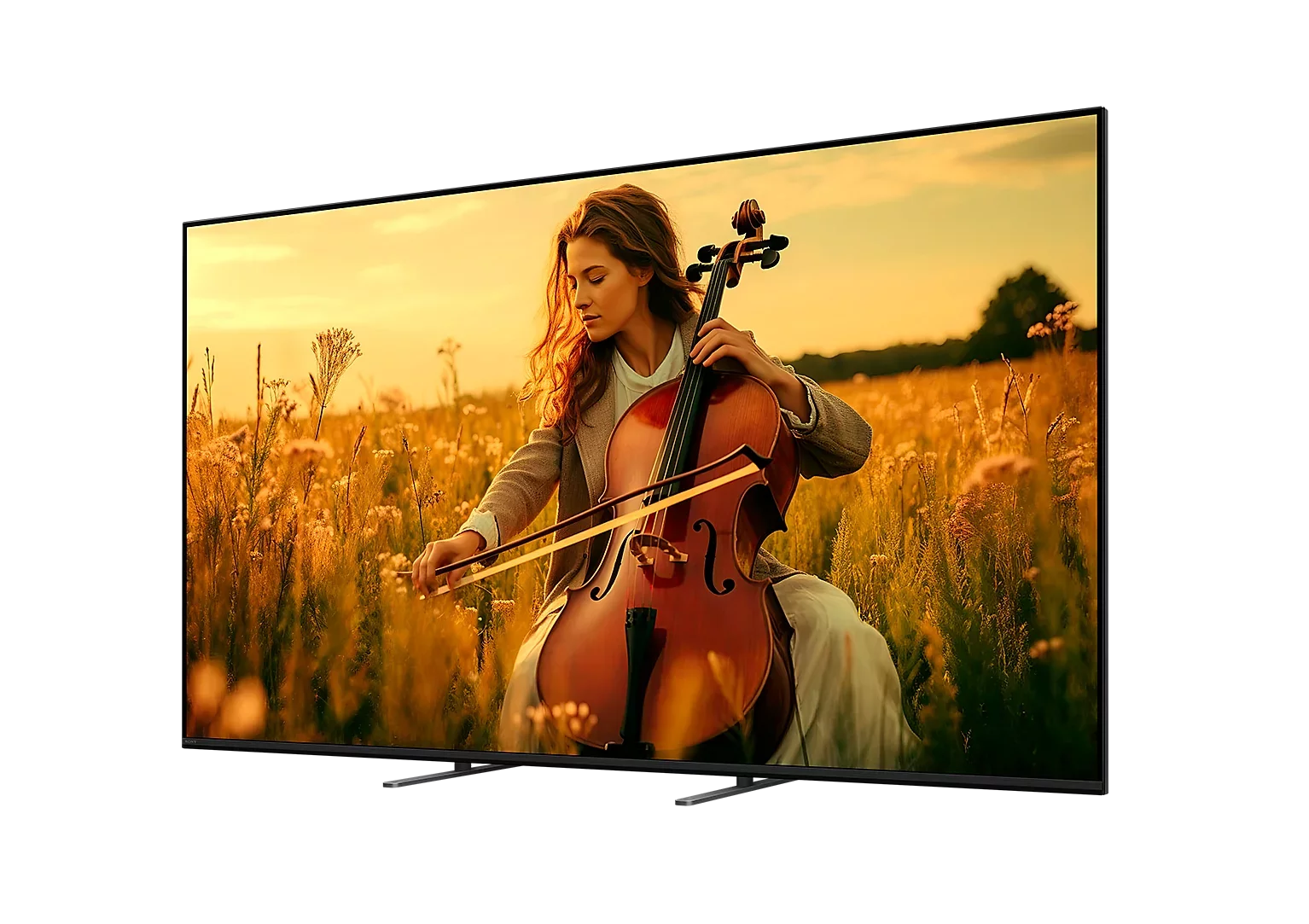 Sony K98XR55BP.CEI