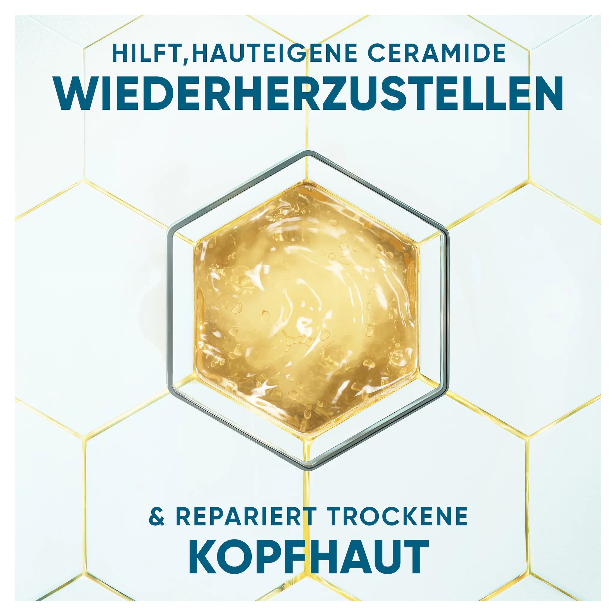 Head & Shoulders Derma X Pro Shampoo Beruhigende Pflege
