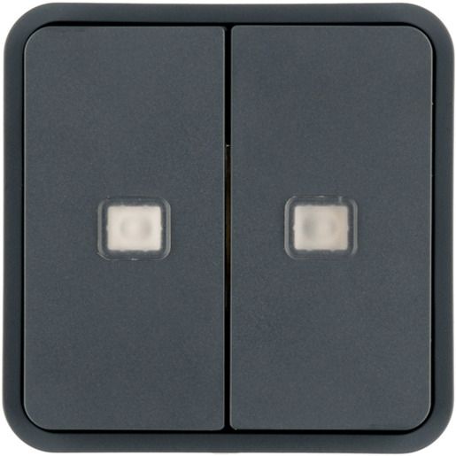 Berker KNX W.1 WIPPE F.TASTER-BA 2F.M / BERKER 30863555