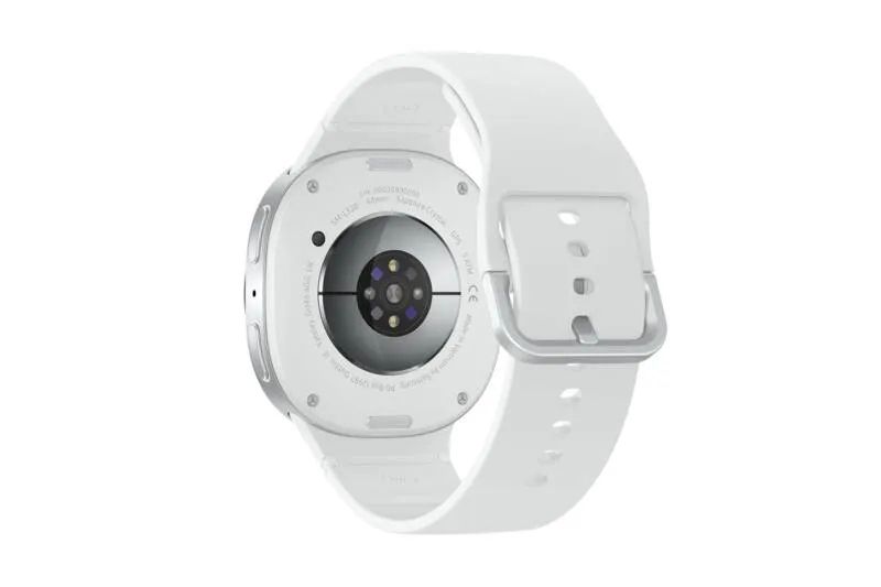 Samsung Galaxy Watch8 - 44 mm - silber - intelligente Uhr mit Sportband - Gummi - weiß - Bandgröße: M/L - Anzeige 3.7 cm (1.47")