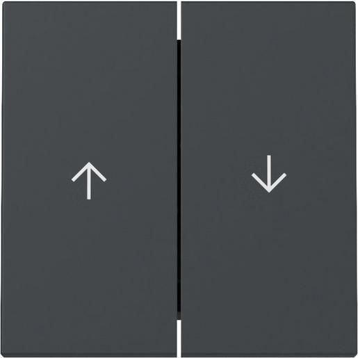 Gira WIPPE 2F PFEIL ANTHRAZIT / GIRA 329428 SYSTEM 55 329428
