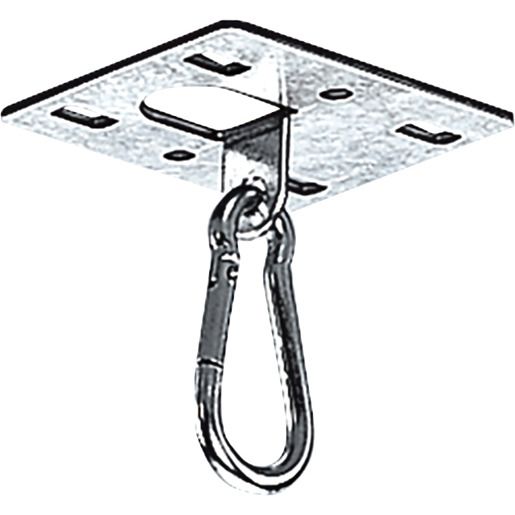 Trilux DECKENBEF.PLATTE M.KARABINER / TRILUX E01 2342000