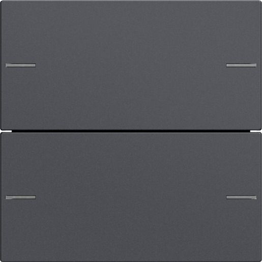Gira WIPPENSET 2F TASTSENS.4 ANTHR. / GIRA 575228 SYSTEM 55 575228