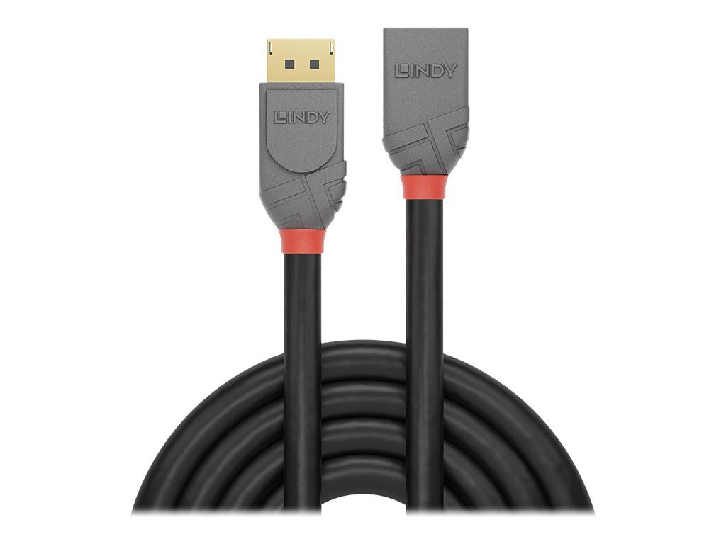 Lindy Anthra Line - DisplayPort-Verlängerungskabel - DisplayPort (M)