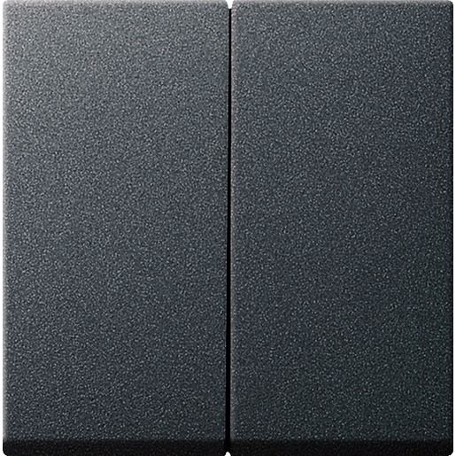 Gira WIPPE F.WSS + DWWS / GIRA 029528 ANTH. SYST.55 029528