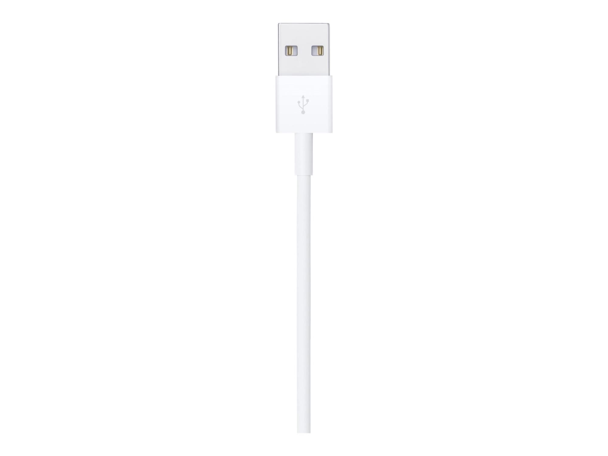 Apple Lightning-Kabel - Lightning männlich zu USB männlich