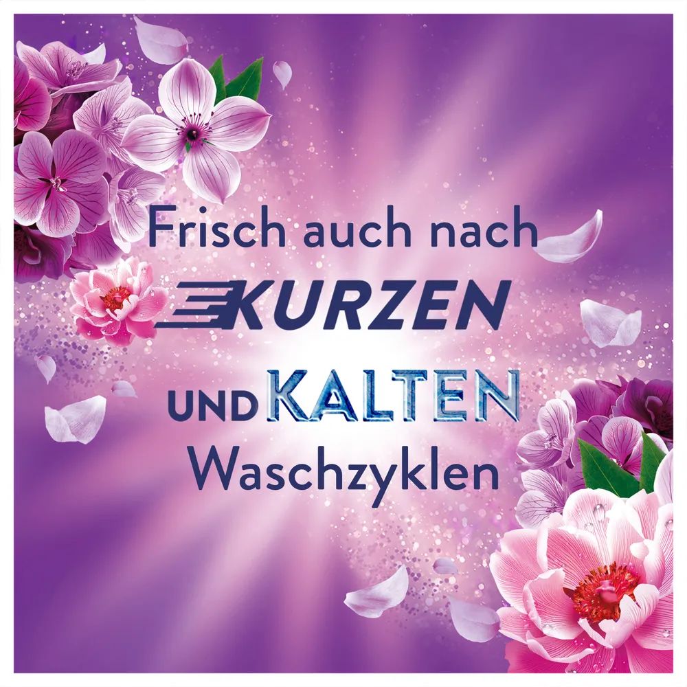 Lenor Amethyst Blütentraum Flasche - 882ml 
