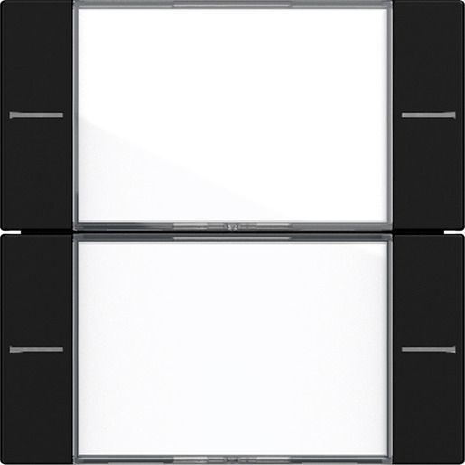Gira WIPPENS.2F BSF TASTS.4 KLAR/SW / GIRA 5772005 SYSTEM 55 5772005