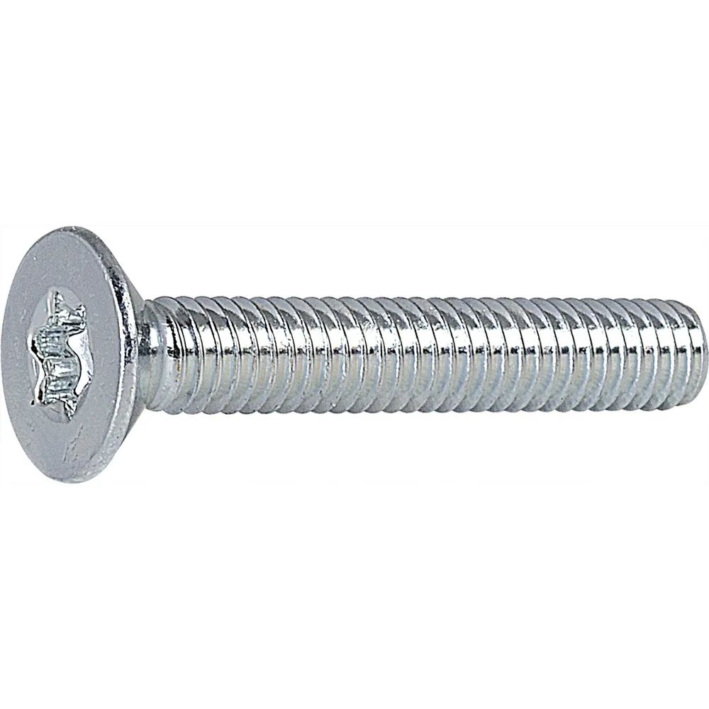F.Reyher Nchfg.GmbH & Co.KG Schrauben ISO14581 4.8 M 4x10 Torx 20 verzinkt Senkschraube