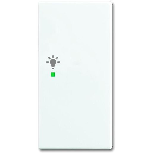 Busch-Jaeger WIPPE/R 2-FACH, LICHT / BUSCH 6231-22-914 2CKA006220A0365