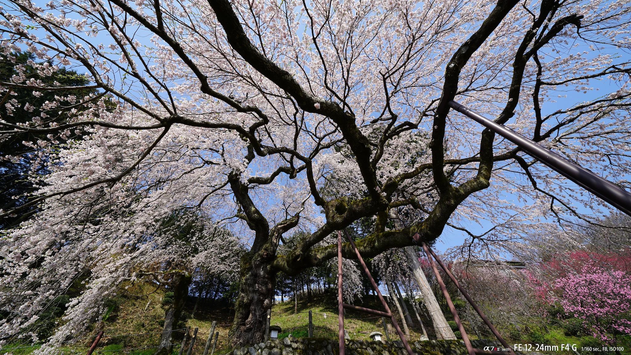 Sony FE 12-24mm F4 G Objektiv