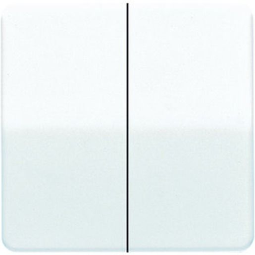Jung WIPPE F.WSS / JUNG CD 595 WW CD595WW
