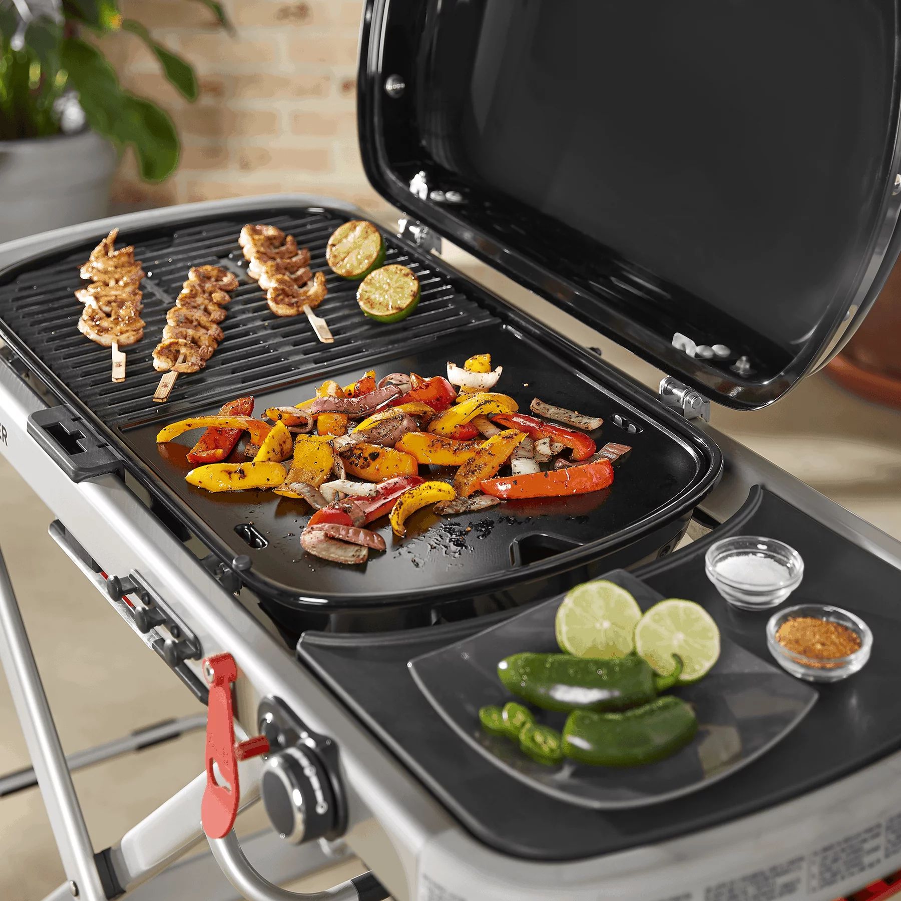 Weber Grillplatte 