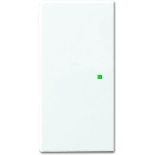 Busch-Jaeger WIPPE 2-FACH, BLIND / BUSCH 6230-20-914 2CKA006220A0360