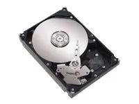 Lenovo Festplatte - 500 GB - Hot-Swap - 2.5" SFF Slim (6.4 cm SFF Slim)