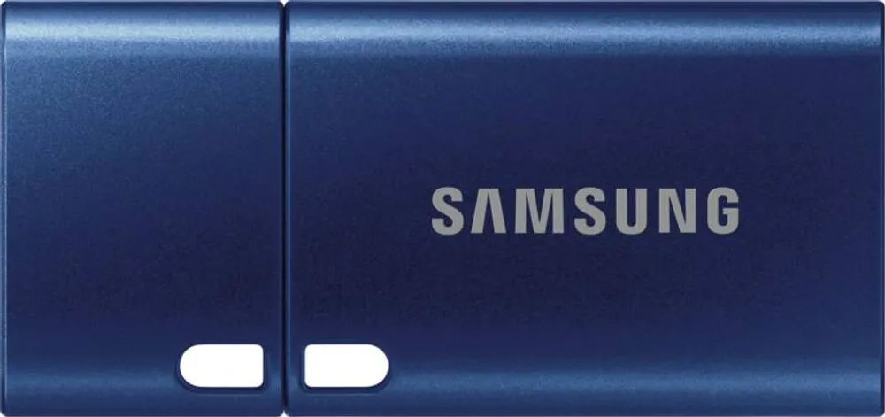 Samsung MUF-256DA - USB-Flash-Laufwerk - 256 GB