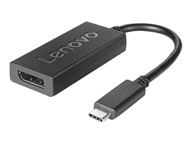 Lenovo USB-C to DisplayPort cable for systems - Kabel - Digital/Daten