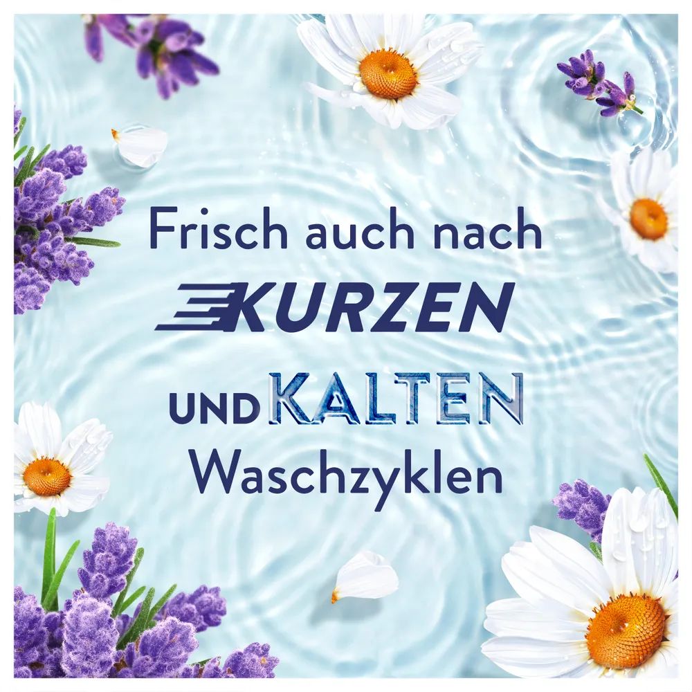 Lenor Ein Tag in der Provence Flasche - 882ml