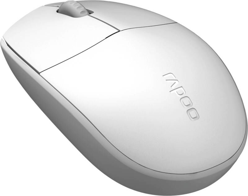 Rapoo Maus optisch N100