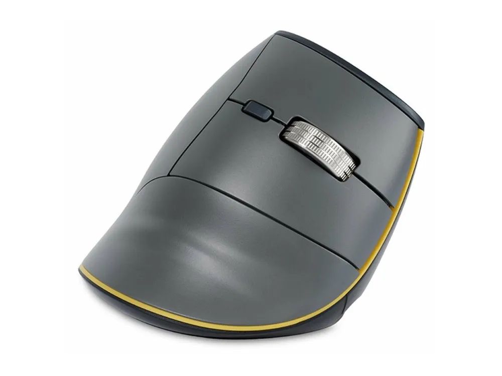 Bakker Elkhuizen vertikale ergonomische Maus Fast Forward