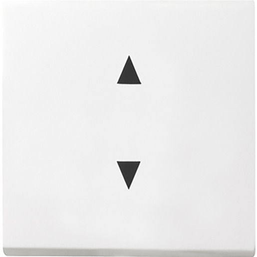 Gira WIPPE PFEILSYMBOLE SYS55 RWS / GIRA 861603