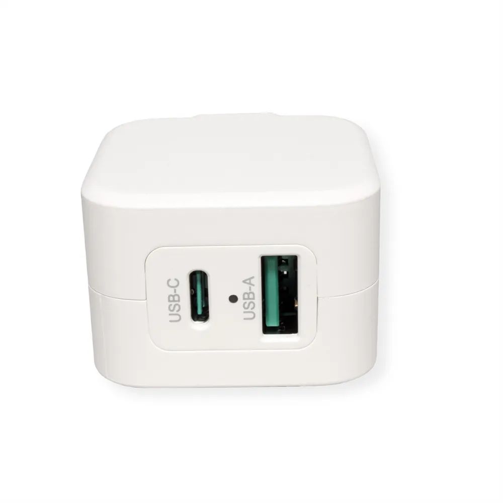 ROLINE USB Charger mit Euro-Stecker, 2 Port (Typ-A QC3.0, Typ-C PD), 20W