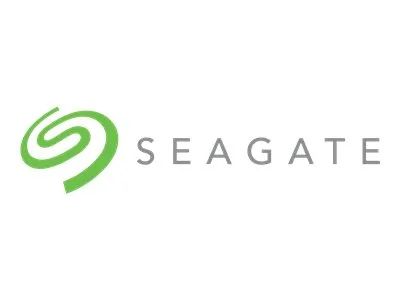 Dell Seagate ST300MP0026 - Festplatte - 300 GB - intern - 2.5" (6.4 cm)