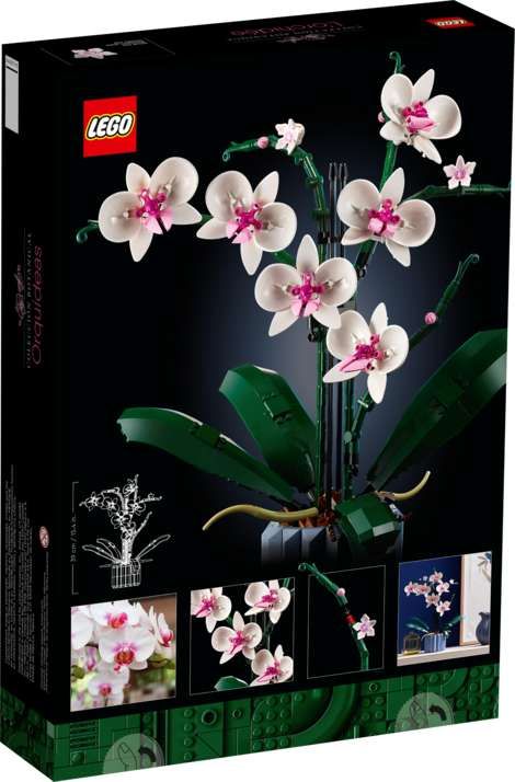 LEGO Orchidee