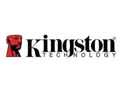 Kingston Canvas Go! Plus - Flash-Speicherkarte (microSDXC-an-SD-Adapter inbegriffen)