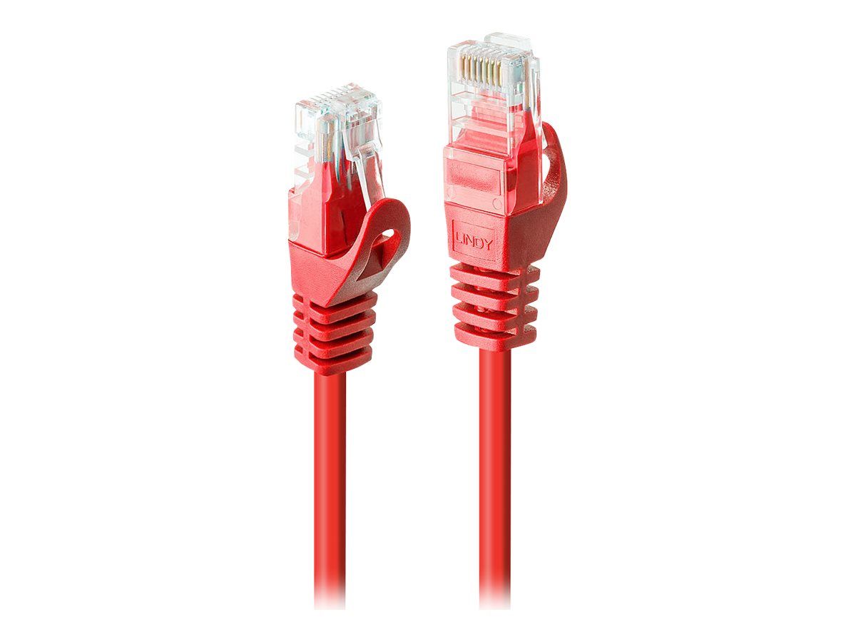 Lindy Basic - Patch-Kabel - RJ-45 (M) bis RJ-45 (M)