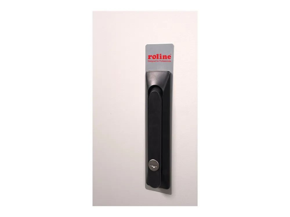 ROLINE Pro - Schrank Netzwerkschrank - außen, 600 x 450 mm (B x T)