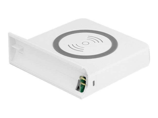 Delock Induktive Ladematte - 15 Watt - weiß