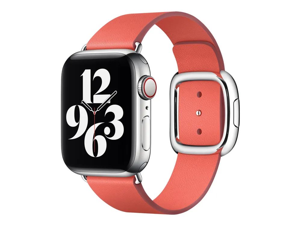 Apple 40mm Modern Buckle - Uhrarmband für Smartwatch