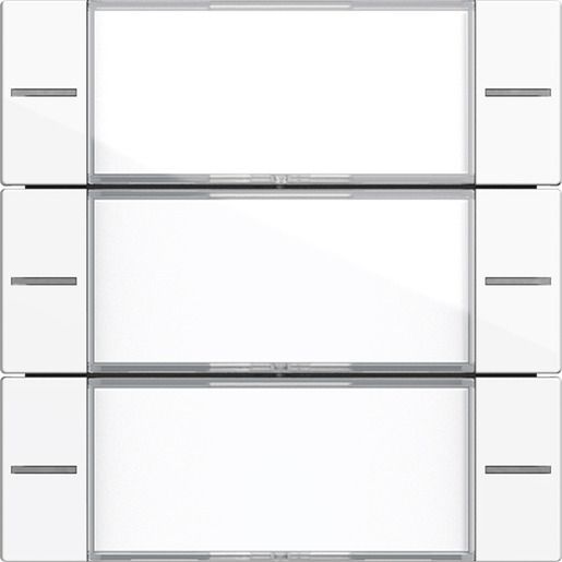 Gira WIPPENS.3F BSF TASTS.4 KL./RWS / GIRA 577303 SYSTEM 55 577303