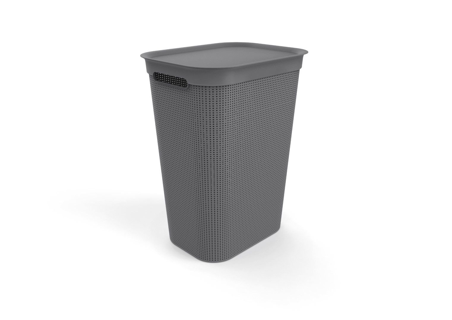 Rotho Wäschesammler 50 L BRISEN