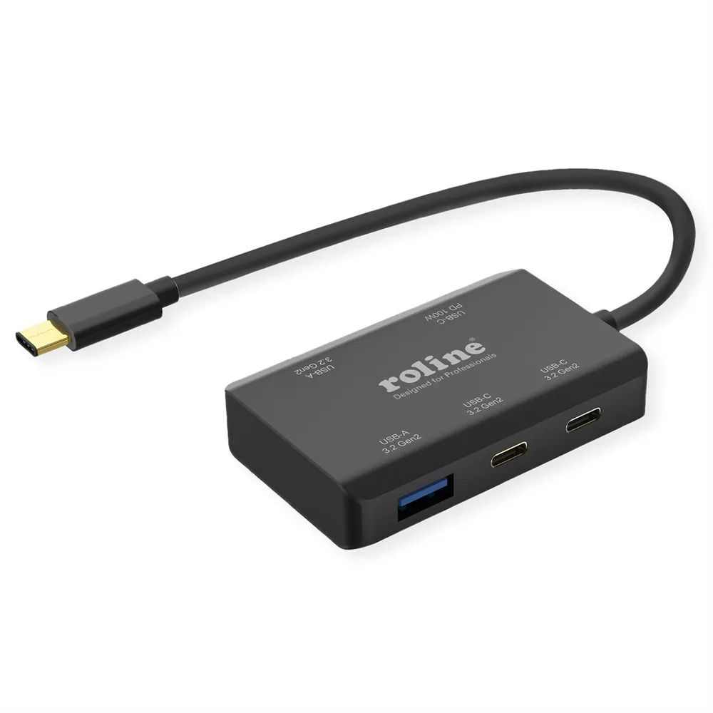 ROLINE Hub - PD (100W) - 2 x USB-C 3.2 Gen 2 + 2 x USB 3.2 Gen 2