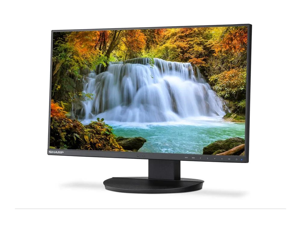 NEC Sharp MultiSync EA242F - LED-Monitor - 60.5 cm (23.8")