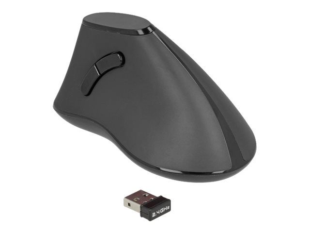 Delock Ergonomic - Vertikale Maus - ergonomisch - Für Rechtshänder - optisch - 5 Tasten - kabellos - 2.4 GHz - kabelloser Empfänger (USB)