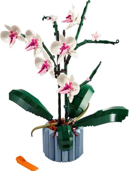 LEGO Orchidee