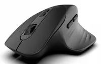 INCA Maus IWM-553S Ergonomisch wireless BT1 5.0+BT2 5.0 - 1.600 dpi