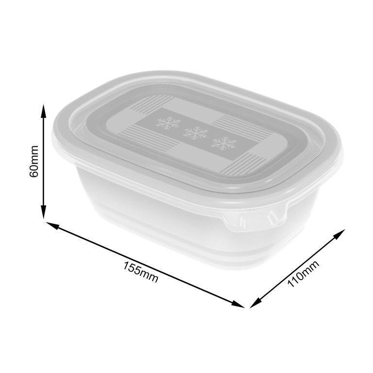 Rotho Set Gefrierdosen 4 x 0.5 l FREEZE