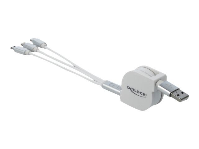Delock Lightning-Kabel - USB männlich zu Micro-USB Typ B, Lightning, USB-C männlich