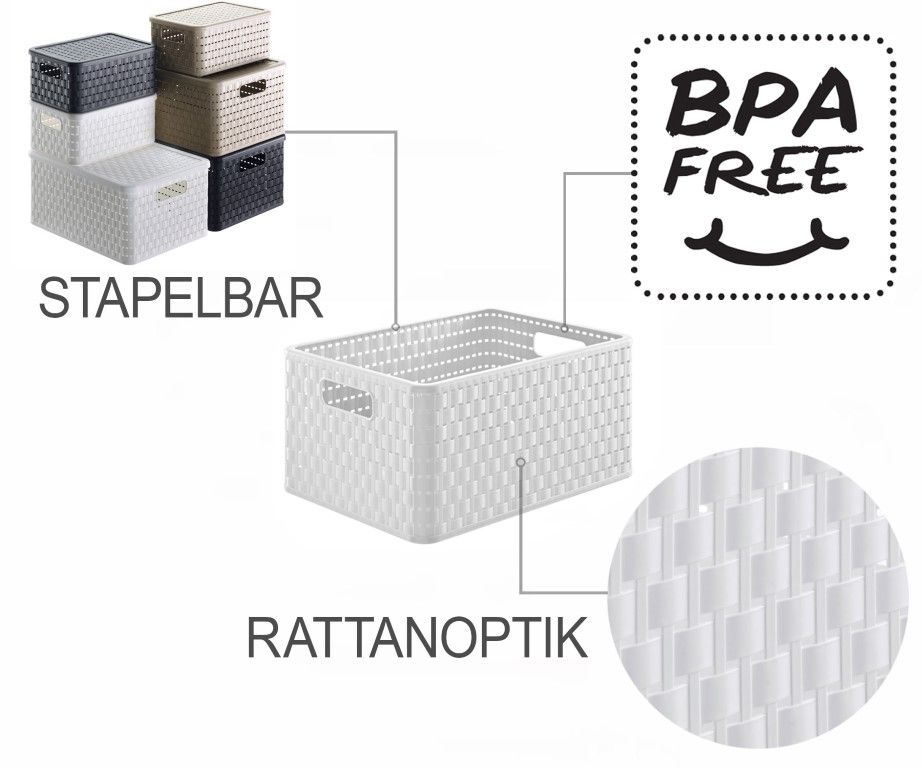 Rotho Korb A4, 18 l COUNTRY