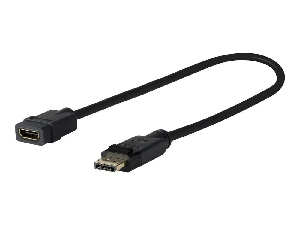 VivoLink Pro - Adapterkabel - DisplayPort weiblich