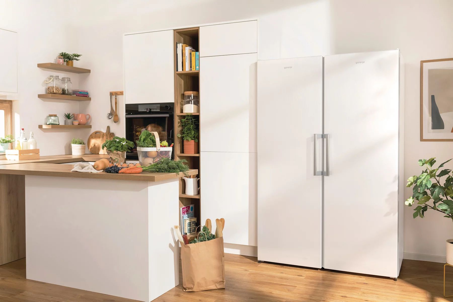 Gorenje FN619EEW5 