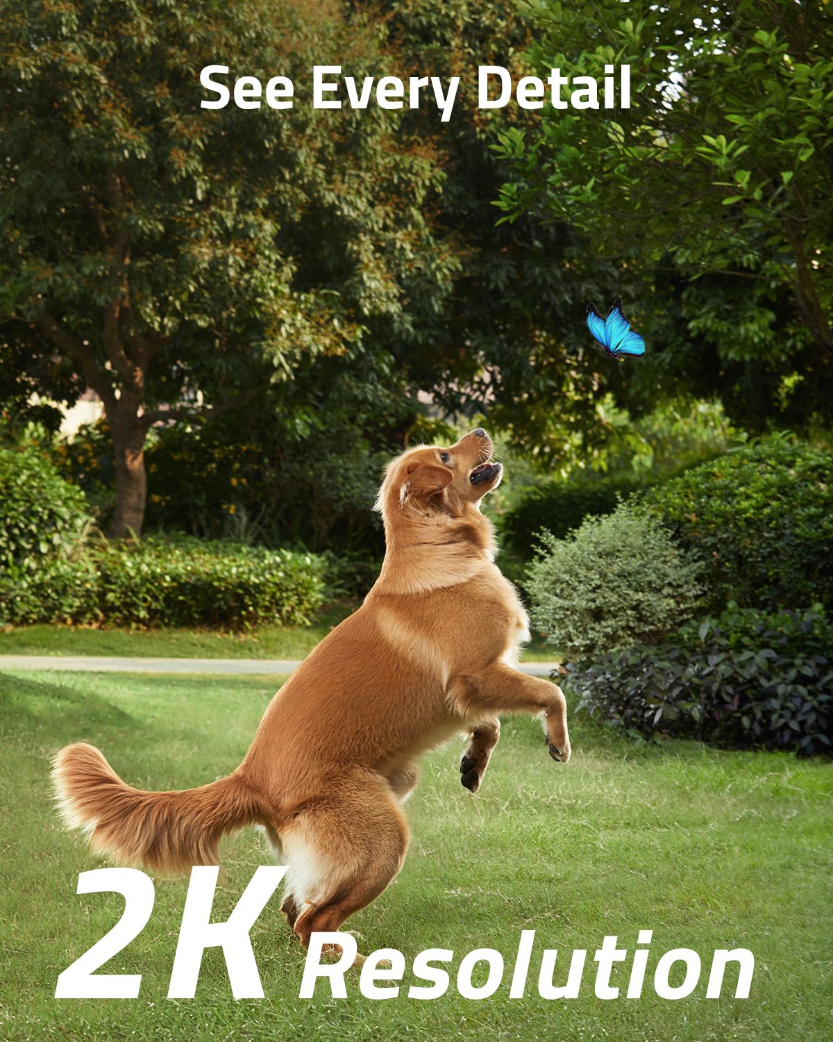 eufy SoloCam S230